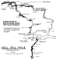 Descent 158 Sell Gill Holes